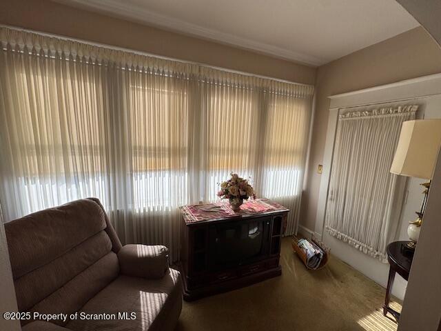 sitting room featuring plenty of natural light and carpet floors