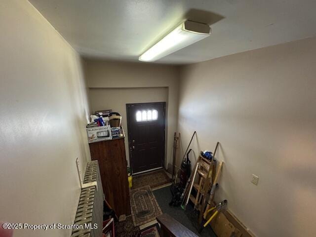 view of carpeted foyer