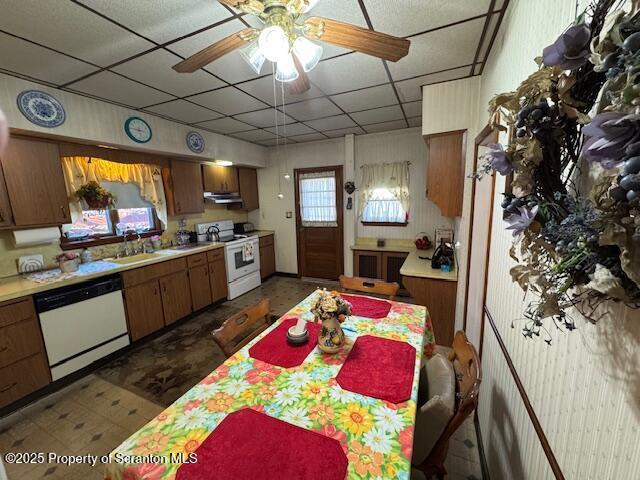 kitchen featuring ceiling fan, sink, a paneled ceiling, and white appliances