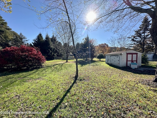 view of yard with a shed