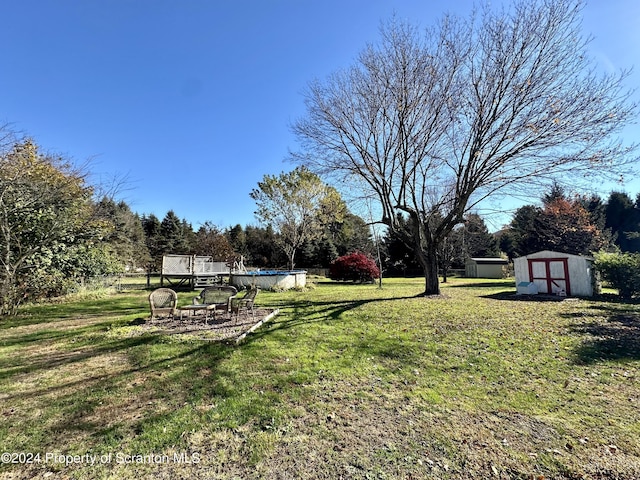 view of yard featuring a storage unit and a pool