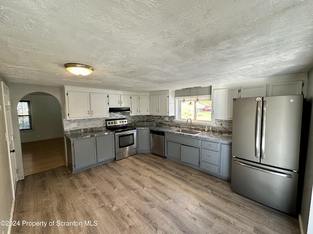 kitchen with decorative backsplash, ventilation hood, stainless steel appliances, sink, and light hardwood / wood-style flooring