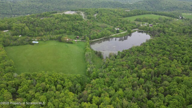 1065 Orphan School Rd, Kingsley, PA 18826 - photo 53