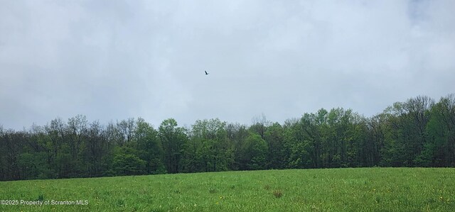 1065 Orphan School Rd, Kingsley, PA 18826 - photo 13