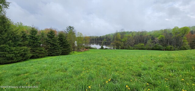 1065 Orphan School Rd, Kingsley, PA 18826 - photo 8