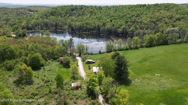 1065 Orphan School Rd, Kingsley, PA 18826 - photo 11