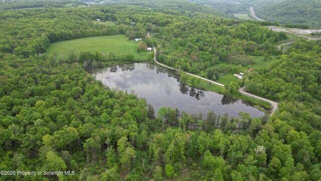 1065 Orphan School Rd, Kingsley, PA 18826 - photo 52