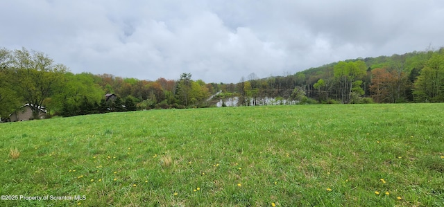 1065 Orphan School Rd, Kingsley, PA 18826 - photo 6