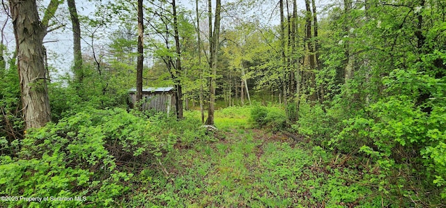 1065 Orphan School Rd, Kingsley, PA 18826 - photo 7