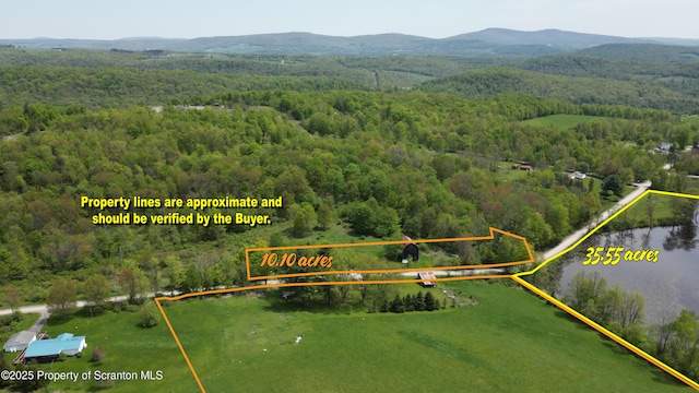 1065 Orphan School Rd, Kingsley, PA 18826 - photo 3