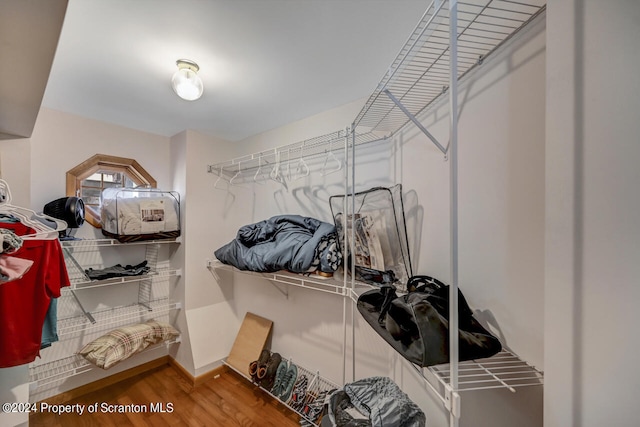 spacious closet with wood-type flooring