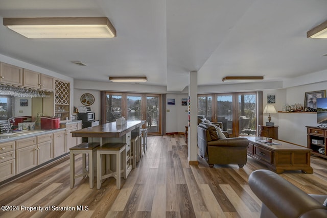 living room featuring french doors, light hardwood / wood-style floors, and sink