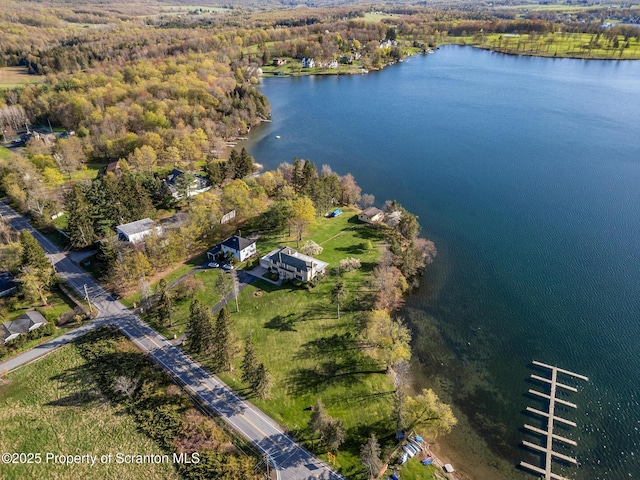 bird's eye view with a water view and a wooded view