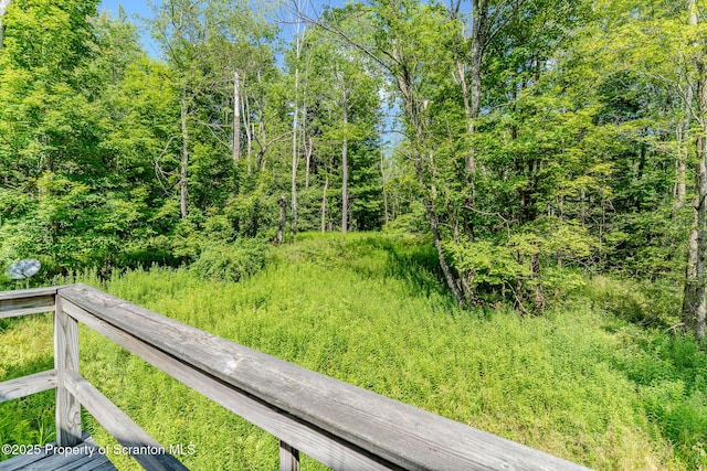 1050 Pops Hobby Lake Rd, Brackney, PA 18812 - photo 51