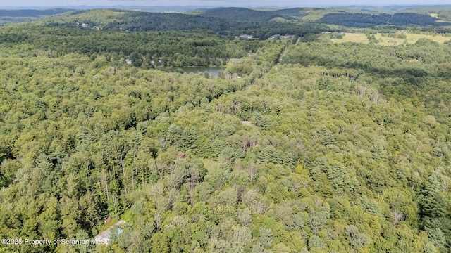 1050 Pops Hobby Lake Rd, Brackney, PA 18812 - photo 39