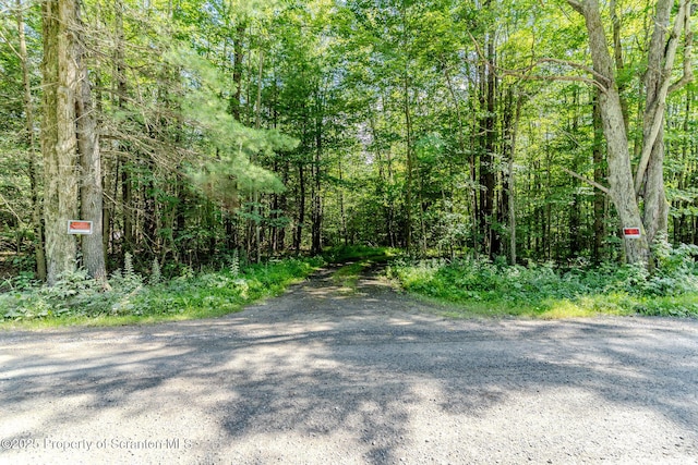 1050 Pops Hobby Lake Rd, Brackney, PA 18812 - photo 49