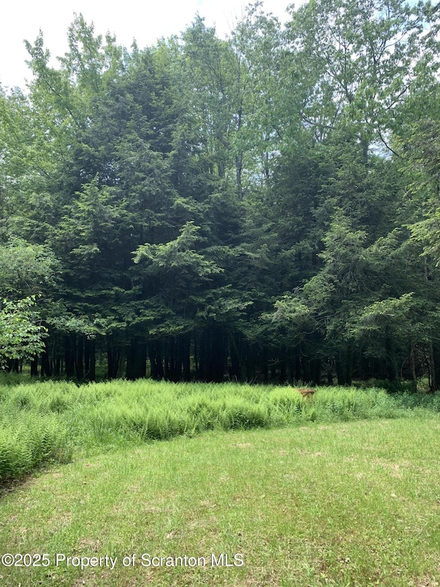 2385 Blewett Rd, Union Dale, PA 18470 - view of tree filled area