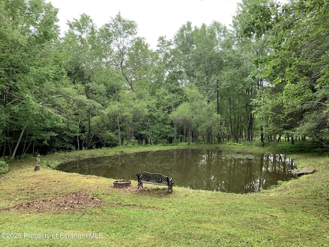 2385 Blewett Rd, Union Dale, PA 18470 - view of yard with a water view and a forest view