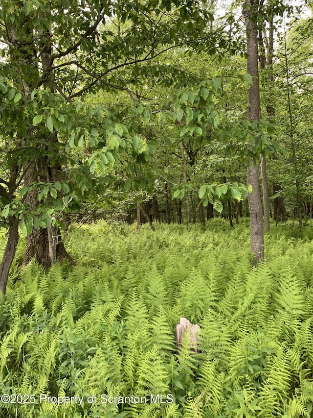 2385 Blewett Rd, Union Dale, PA 18470 - view of undeveloped land
