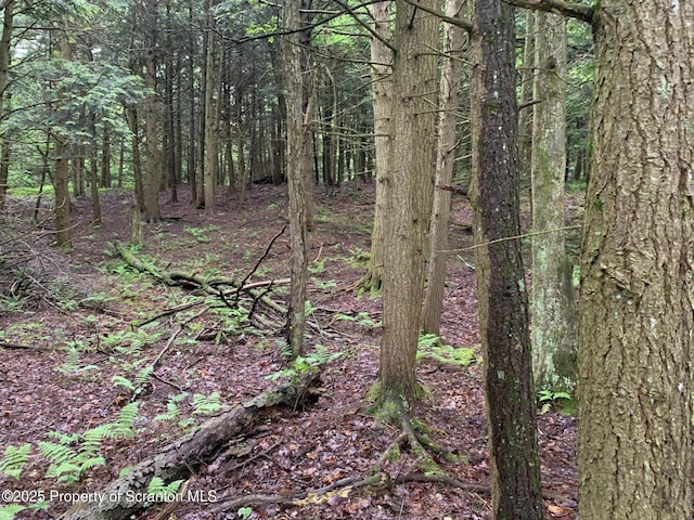 2385 Blewett Rd, Union Dale, PA 18470 - view of woods