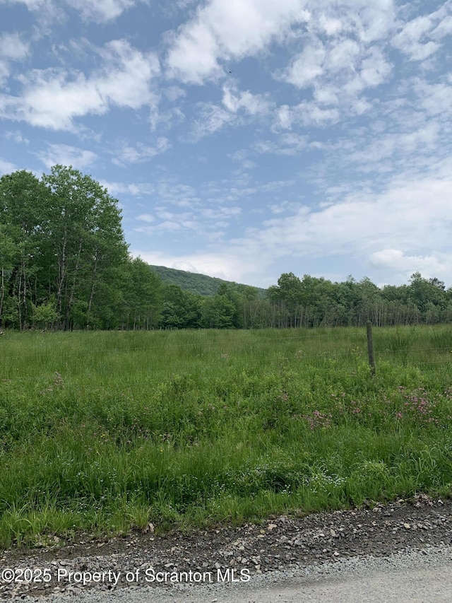 2385 Blewett Rd, Union Dale, PA 18470 - view of yard with a view of rural / pastoral area