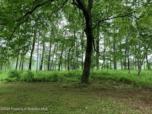 2385 Blewett Rd, Union Dale, PA 18470 - view of local wilderness