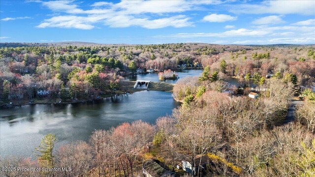 180 E Shore Dr, Dingmans Ferry, PA 18328 - birds eye view of property featuring a forest view and a water view