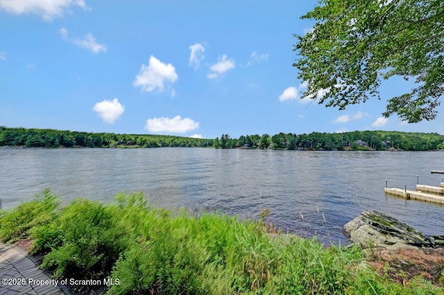 1753 Rockpoint Ct, Lake Ariel, PA 18436 - photo 8