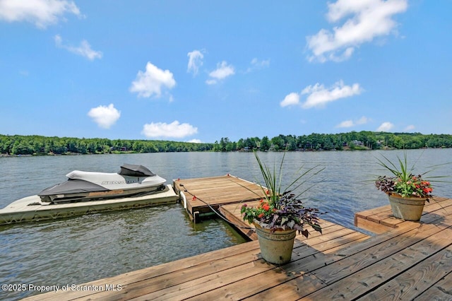 1753 Rockpoint Ct, Lake Ariel, PA 18436 - photo 5