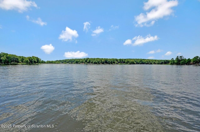 1753 Rockpoint Ct, Lake Ariel, PA 18436 - photo 7