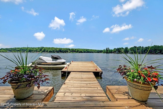 1753 Rockpoint Ct, Lake Ariel, PA 18436 - photo 84