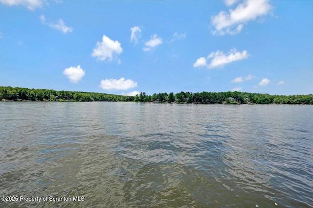 1753 Rockpoint Ct, Lake Ariel, PA 18436 - photo 82
