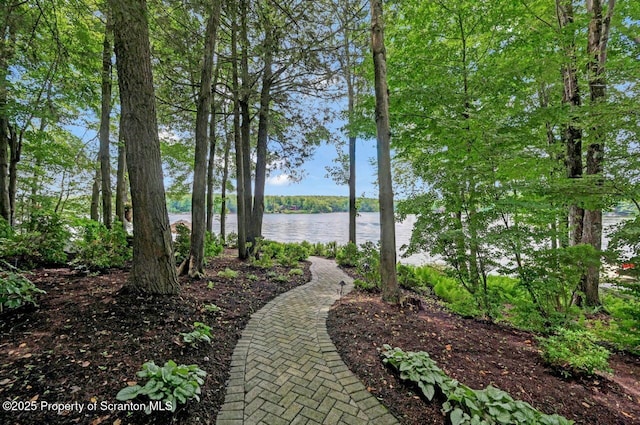 1753 Rockpoint Ct, Lake Ariel, PA 18436 - photo 80
