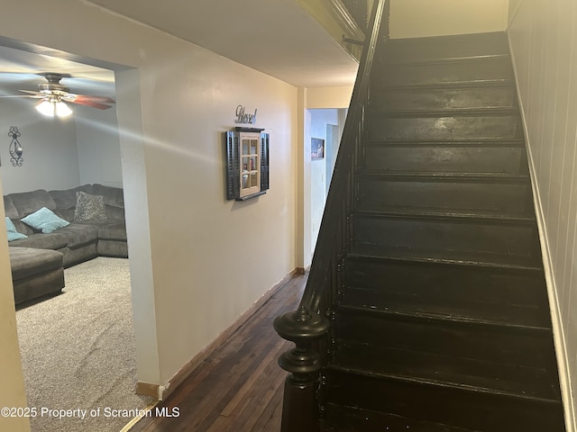 staircase featuring carpet and ceiling fan