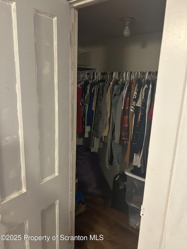 walk in closet with wood-type flooring