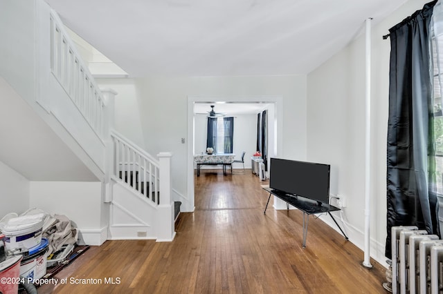 interior space with hardwood / wood-style floors, radiator, a healthy amount of sunlight, and ceiling fan