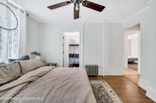 bedroom with radiator, ceiling fan, wood-type flooring, a walk in closet, and a closet