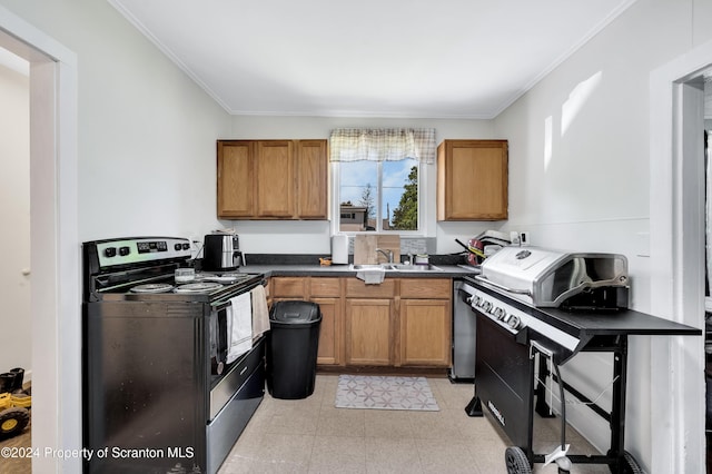 kitchen with black electric range, crown molding, and sink