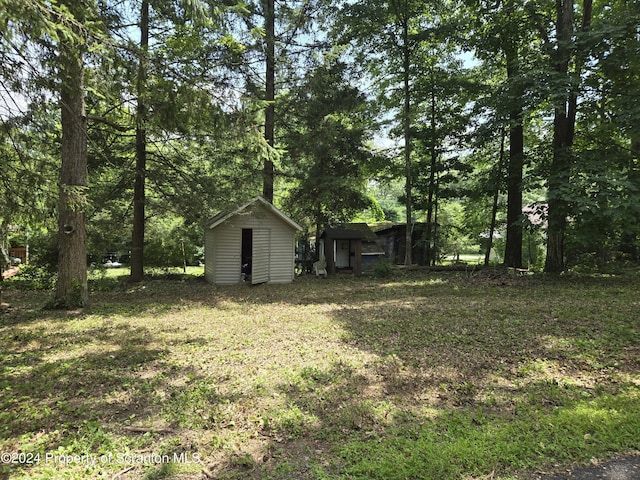 view of yard featuring a storage shed