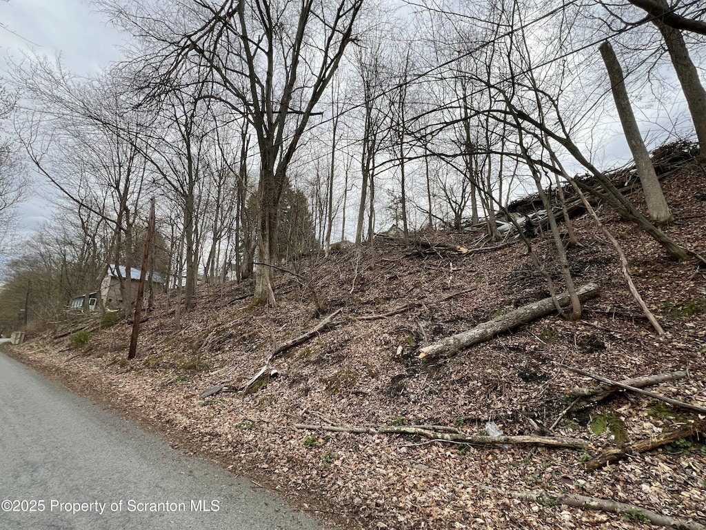 Front St, Susquehanna, PA 18847