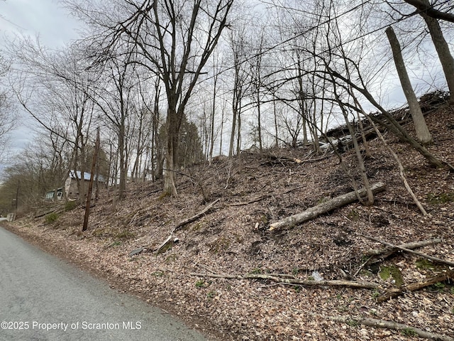 Front St, Susquehanna, PA 18847
