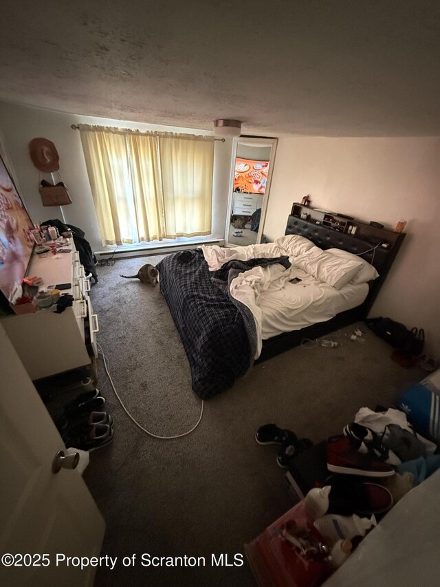 121 Throop St, Scranton, PA 18508 - bedroom featuring carpet