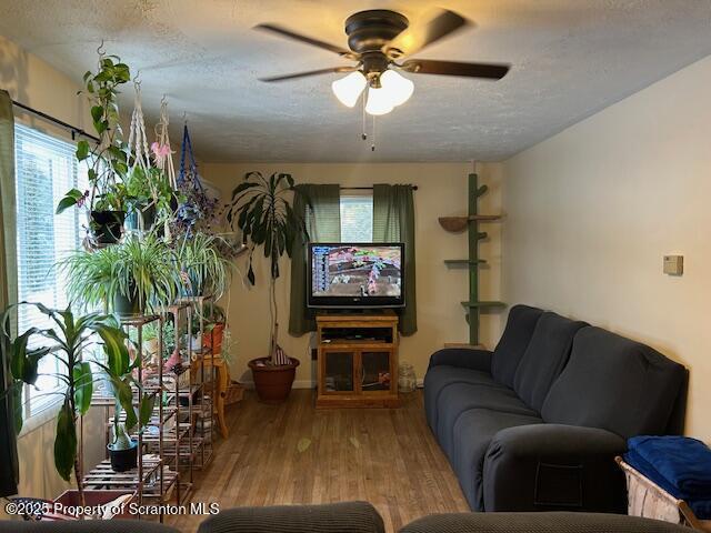 living room with hardwood / wood-style flooring, ceiling fan, and a textured ceiling