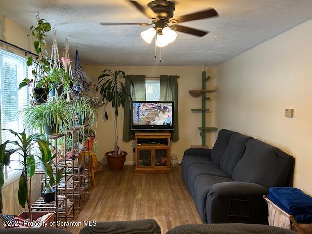 living room featuring ceiling fan, hardwood / wood-style floors, and a textured ceiling