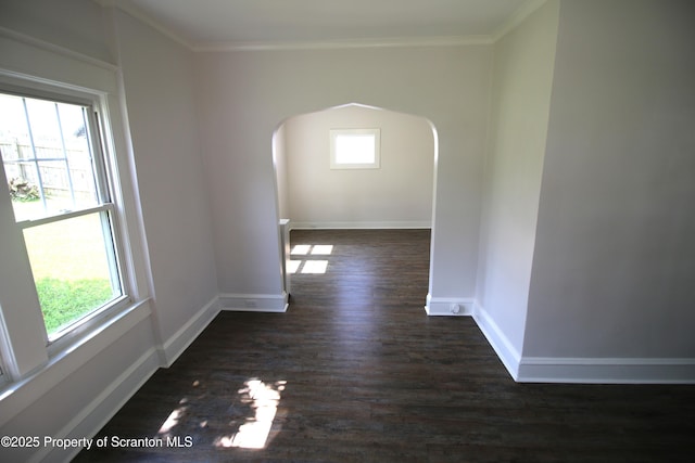 642 Hickory St, Scranton, PA 18505 - photo 3