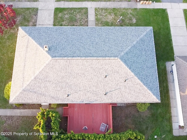bird's eye view