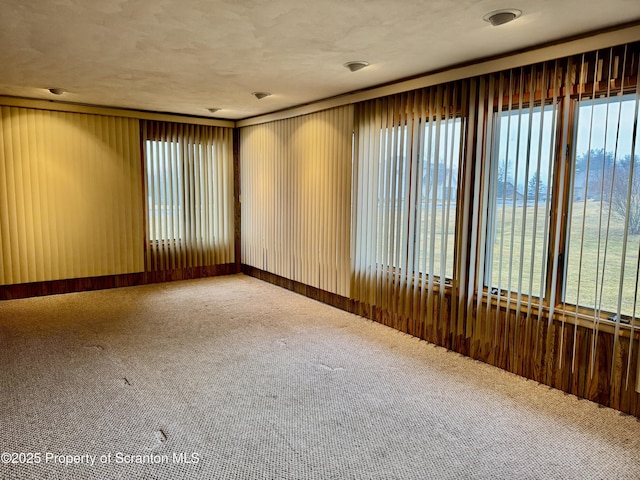 unfurnished room with carpet floors