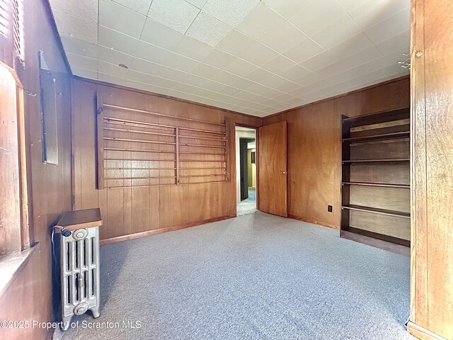 spare room with baseboards and wood walls