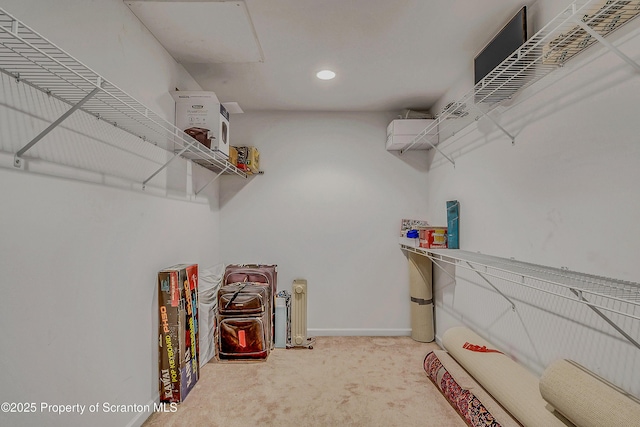 129 Wyndham Rd, South Abington Twp, PA 18411 - walk in closet with carpet flooring