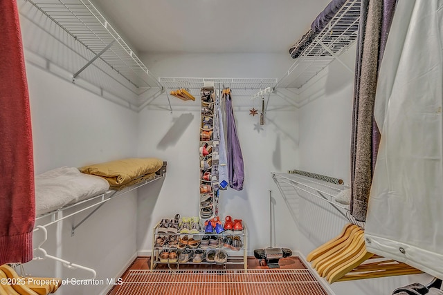 129 Wyndham Rd, South Abington Twp, PA 18411 - walk in closet featuring wood finished floors